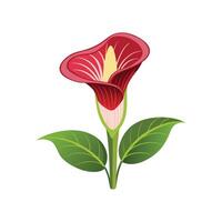 Artful Titan Arum for Creative Projects vector