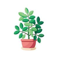 Stylish Trailing Jade for Unique Aesthetics vector