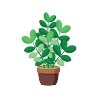 Artful Trailing Jade for Creative Projects vector