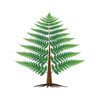 Stylish Tree Fern for Creative Projects vector