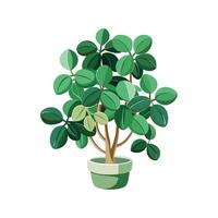 Creative Trailing Jade Design vector