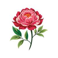 Elegant Tree Peony for Nature Lovers vector