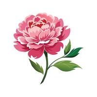 Charming Tree Peony for Unique Decor vector