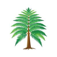 Elegant Tree Fern for Nature Aesthetics vector