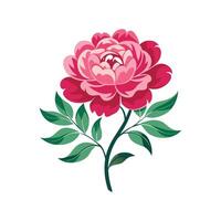 Artful Tree Peony for Creative Uses vector
