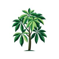 Stylish Schefflera for Creative Projects vector