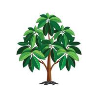 Artful Schefflera Actinophylla for Creative Projects vector