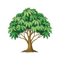 Elegant Schefflera Actinophylla for Unique Designs vector