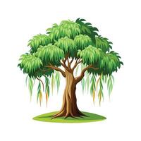 Beautiful Weeping Fig for Unique Designs vector