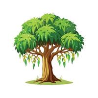 Artful Weeping Fig for Creative Projects vector