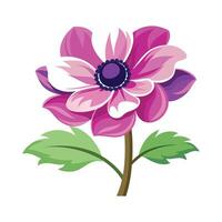 Elegant Windflower Anemone Design vector