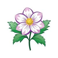 Elegant Windflower for Unique Designs vector