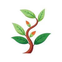 Stylish Wishbone Plant for Creative Projects vector