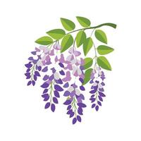 Elegant Wisteria for Unique Aesthetics vector