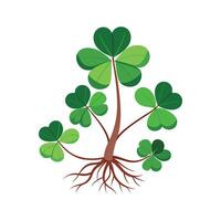 Charming Wood Sorrel Plant Artwork vector