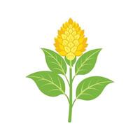 Beautiful Yellow Amaranth for Creative Projects vector