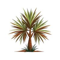 Charming Yucca for Nature Art vector