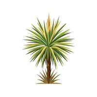 Charming Yucca for Unique Aesthetics vector
