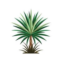 Beautiful Yucca for Creative Projects vector