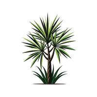 Stylish Yucca for Creative Uses vector
