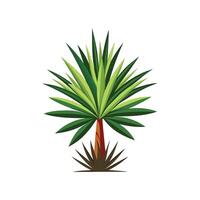 Stylish Yucca for Home Aesthetics vector
