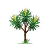 Elegant Yucca for Unique Designs vector