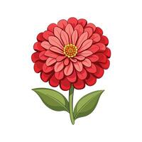 Charming Zinnia for Unique Aesthetics vector