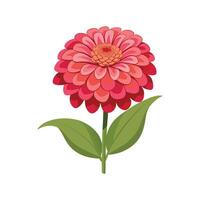Artful Zinnia Elegans for Creative Projects vector