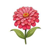 Stylish Zinnia for Nature Art vector