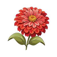 Stylish Zinnia for Unique Aesthetics vector