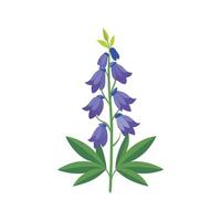 Charming Aconitum Flower Design Art vector