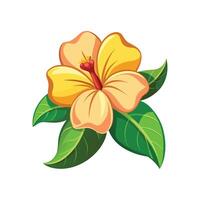 Stylish Allamanda Plant Artwork vector