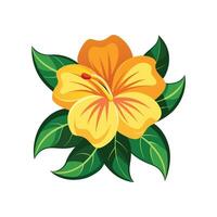 Vibrant Allamanda Nature Illustration vector