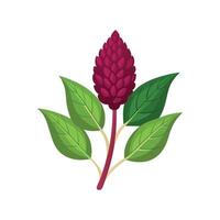 Charming Amaranth Flower Design Art vector