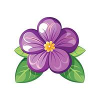 Stylish Aubrieta Plant Graphic vector