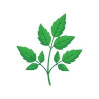 Charming Representation of Bitter Herb vector