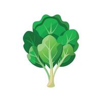 Elegant Brassica Plant Design vector