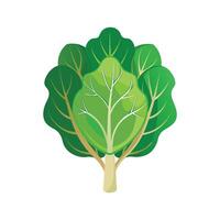 Charming Brassica Flower Artwork vector