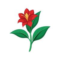 Stunning Canna Lily Flower Artwork vector