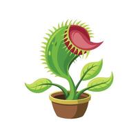 Unique Carnivorous Plant Illustration vector