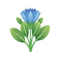 Beautiful Chicory Flower Artwork vector