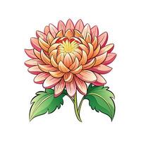Artistic Representation of Chrysanthemum vector