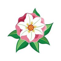 Elegant Cistus Flower Art vector