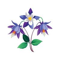 Elegant Columbine Flower Design vector