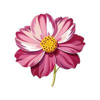 Vibrant Coreopsis Flower Illustration vector
