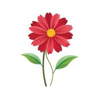 Beautiful Coreopsis Flower Artwork vector