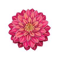 Stunning Dahlia Floral Design vector