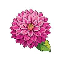 Elegant Dahlia Flower vector