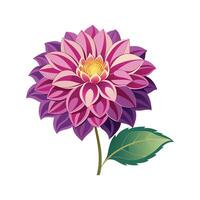 Elegant Dahlia Imperialis Flower Design vector