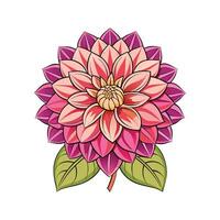 Vibrant Dahlia Flower Design vector